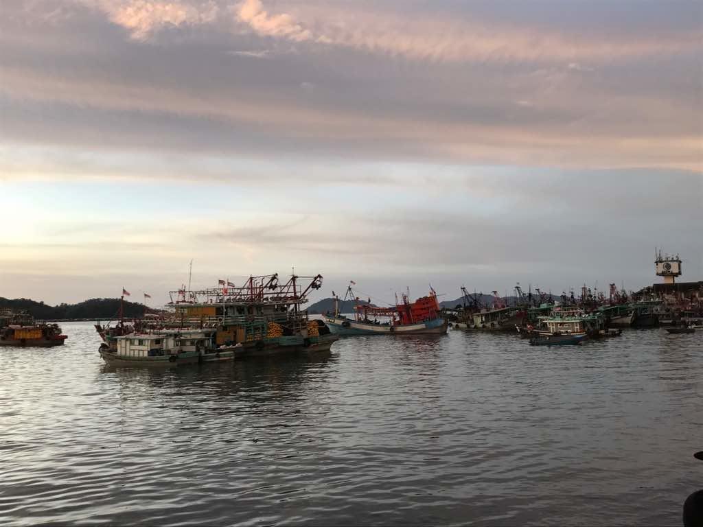 Nusantara Mattwaddien M.S Kota Kinabalu Eksteriør billede